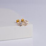 Earrings (1gm)