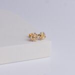 Earrings (1gm)