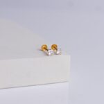 Earrings (1gm)