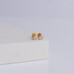 Earrings (1gm)