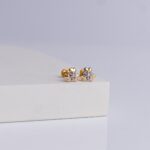 Earrings (1gm)