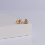 Earrings (1gm)