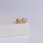 Earrings(1gm)