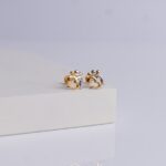 Earrings (1gm)