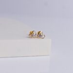 Earrings (1gm)