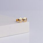 Earrings (1gm)