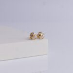 Earrings (1gm)