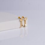 Earrings (1.5gm)