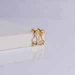 Earrings (1.5gm)